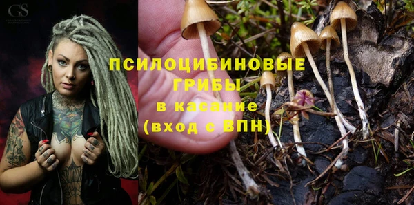 дмт Михайлов