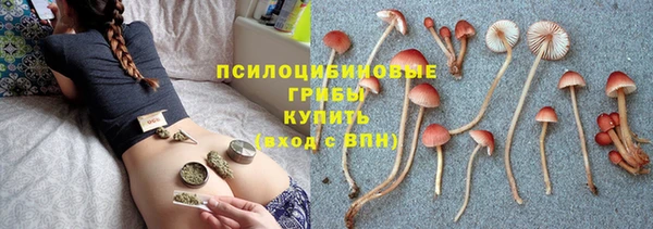 дмт Михайлов