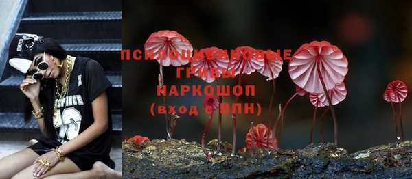 Альфа ПВП Михайловка