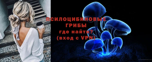 дурь Михайловск